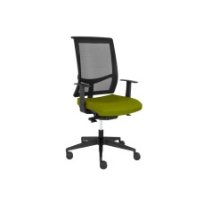 Office chair EVA II with swivel mechanism, with armrests, on castors, seat - fabric, back - mesh